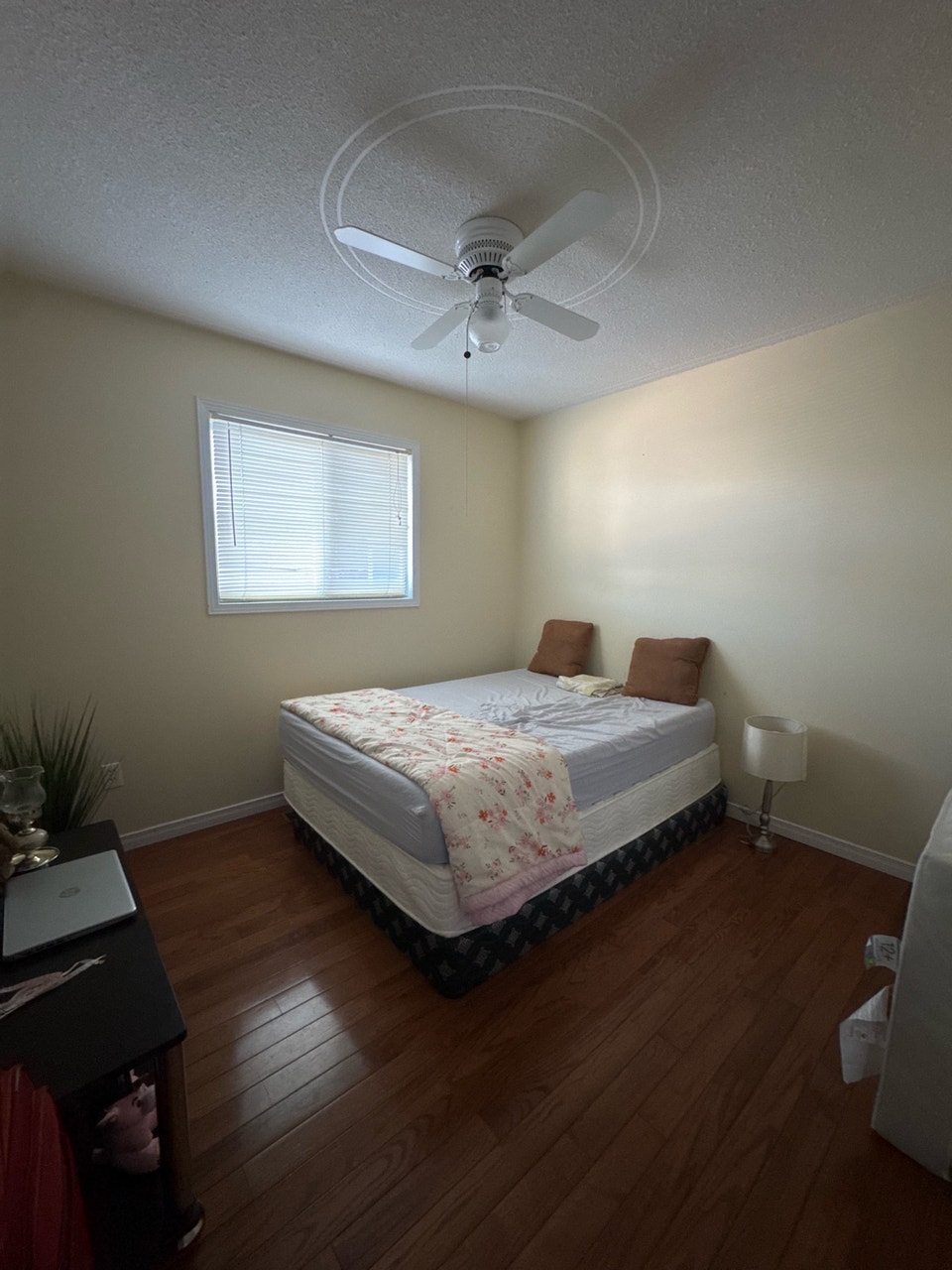 private room available for Punjabi girl in north bay 1