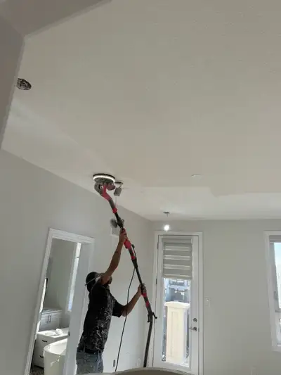 popcorn ceiling removal (dustless) , painting , View more