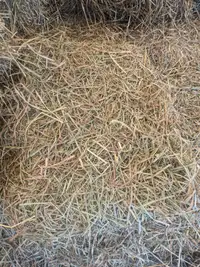 Second cut hay - grassy mix