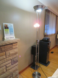 Dainolite 505F-SC Floor Lamp with Reading Light