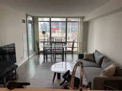  1 BEDROOM CONDO DOWNTOWN TORONTO  - FULLY FURNISHED - JUNE 1ST