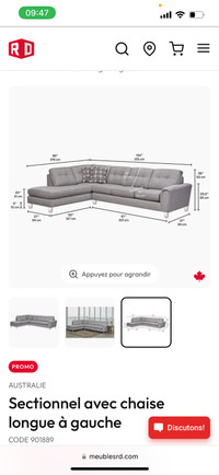 Sofa Sectionnel Gris