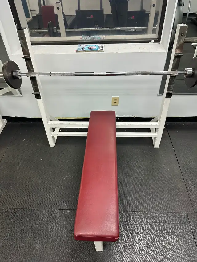 Commercial-Grade Used Gym Equipment for Sale – Startup Gym / Per in Exercise Equipment in City of Toronto - Image 9