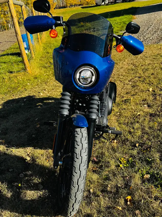 2024 Harley Davidson Street Bob in Street, Cruisers & Choppers in Red Deer - Image 6