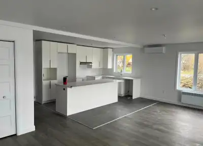 Magnifique logement à louer avec de très grandes pièces 4 ½ à 1375,00$/mois Près du cégep et du cent...
