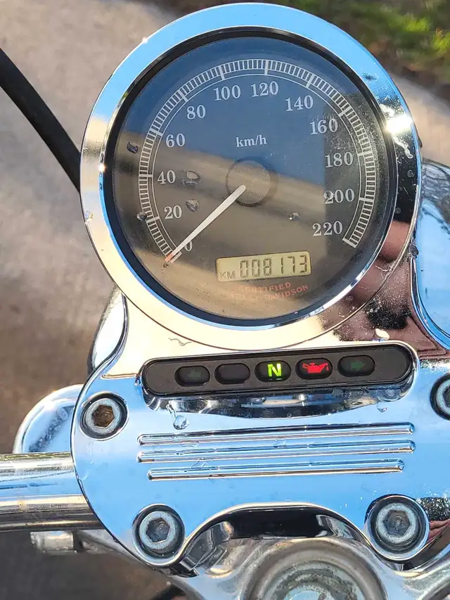 2006 Harley-Davidson sportster  low km in Street, Cruisers & Choppers in Saint John - Image 7