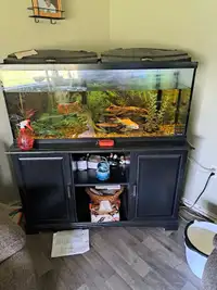 Fish tank + fish