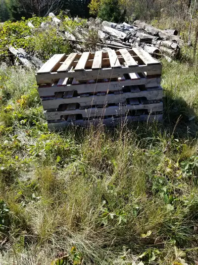 Skids, 3 currently available, View more