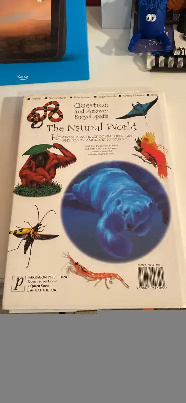Children books two for $10 in Children & Young Adult in City of Toronto - Image 4