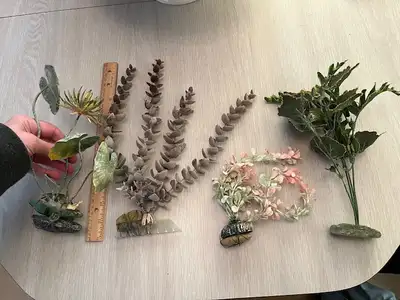 Fish Tank Plants $10, View more