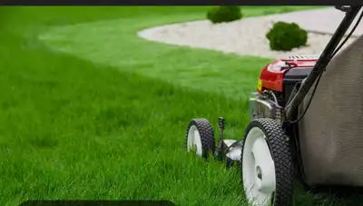 Lawn care, snow, removal, property management, and landscaping, View more
