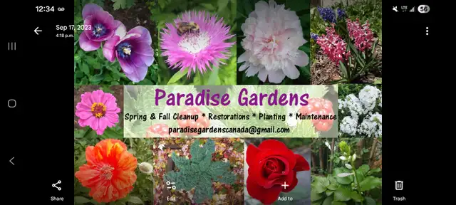 Gardening Services449046069432166401