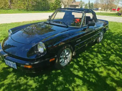 1990 Alfa Romeo Spider Quadrifoglio mint shape. Get into spring with this exotic beauty. 2.0L double...