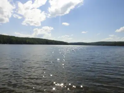 A 3 bedroom, kitchen, living room, open concept cottage on flat land with firepit BBQ, beautiful vie...
