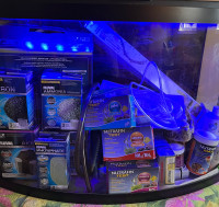 FULLY Loaded 40 G Bow Aquarium with Stand 