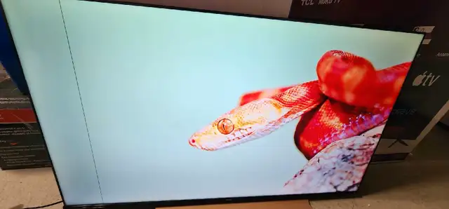 QLED 65" (2024) HISENSE 65" QLED 4K GOOGLE SMART TV628637373982741212