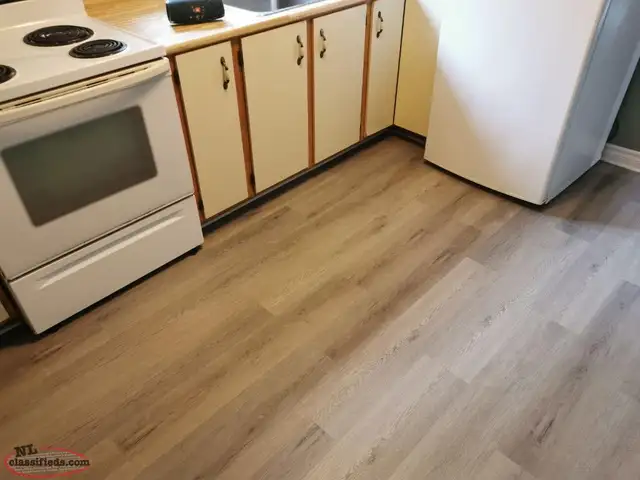 2 bedroom basement apartment in Long Term Rentals in St. John's - Image 5