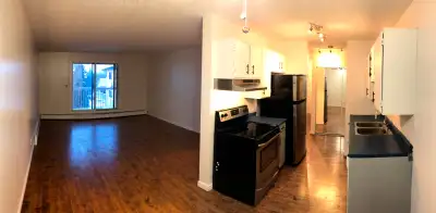 Spacious & Affordable 2 Bed | 1.5 Bath | 1100 Sqft Condo