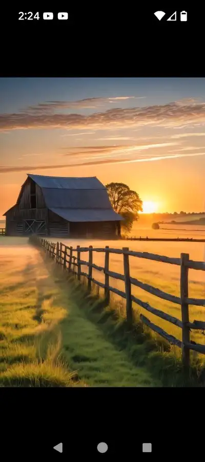 wanted land or farm to rent