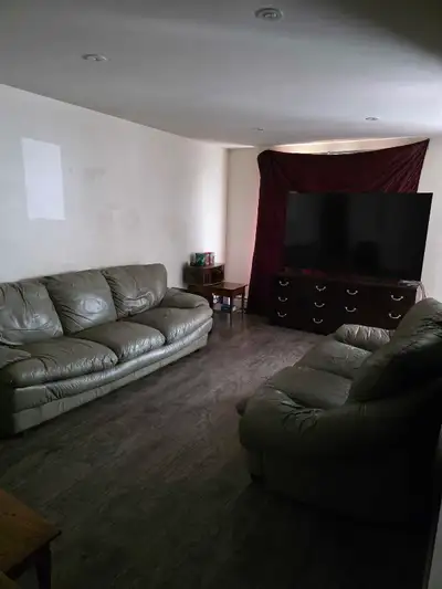 Needed roomate $350 for bedroom everything shared . Month to mon
