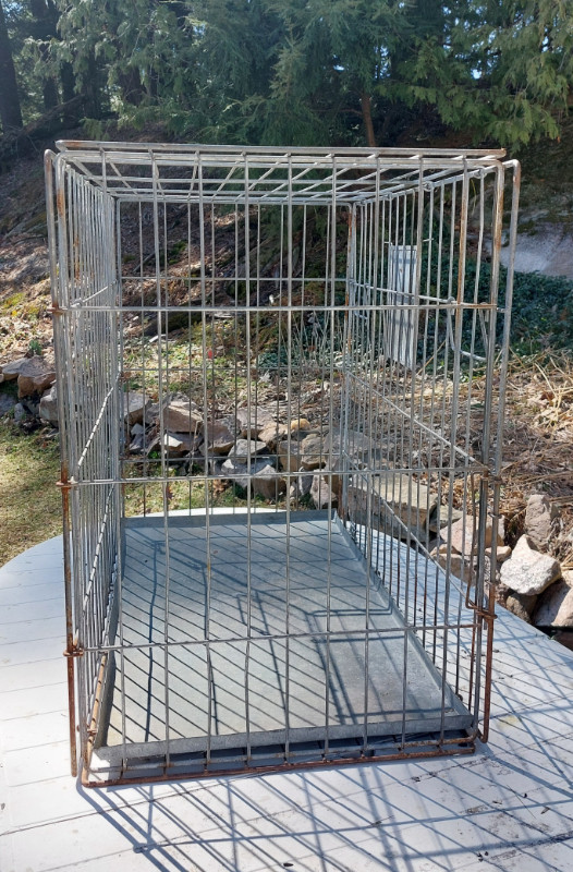 Folding, Double Door, Wire Dog Crate - Large in Accessories in Kawartha Lakes - Image 2