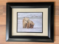 Polar Bear and cubs Picture