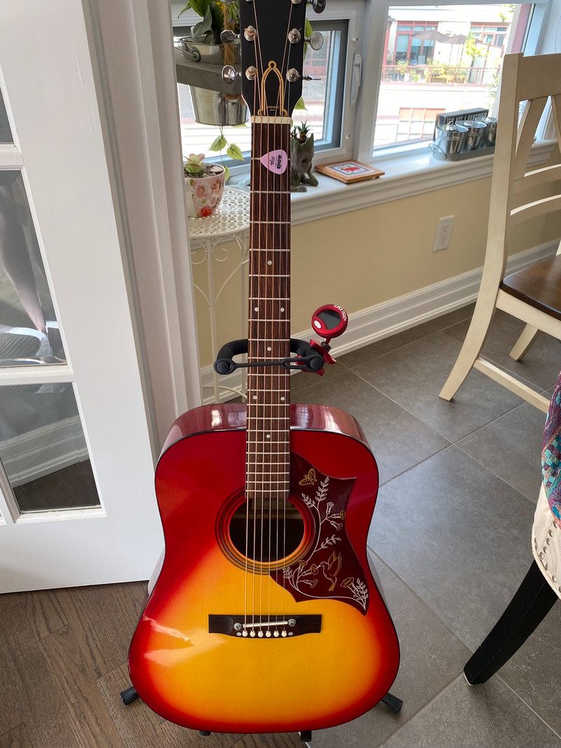 El Degas (Hummingbird) acoustic guitar , used for sale  