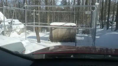 Portable dog kennel, View more