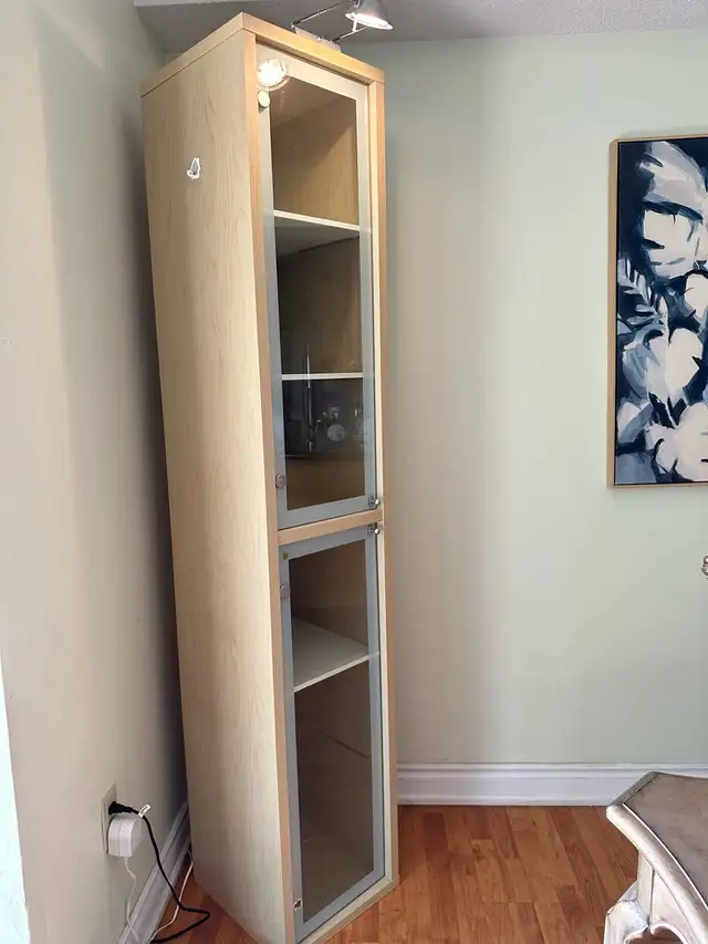 IKEA Display Cabinet with Glass Doors and Light628632682254091215