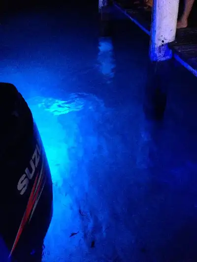 SeaBlaze Mini LED Underwater Transom Light Brand New Sold As A Pair $395 Don't settle for cheap infe...