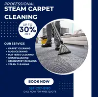 Professional Hot Steam Carpet Cleaner'sCALL/TEXT 587-207-8180