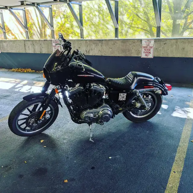 Harley Davidson Sportster  in Sport Touring in Oshawa / Durham Region - Image 2