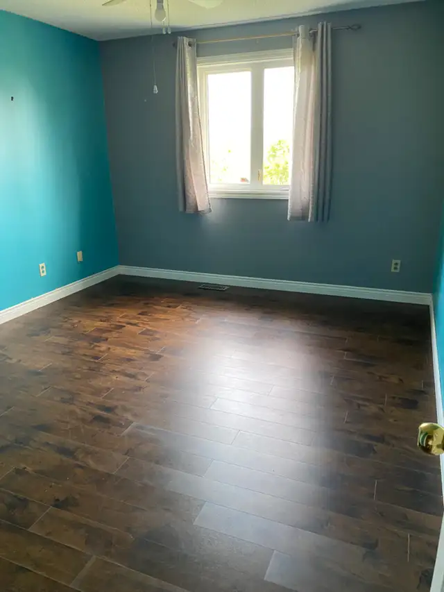  Bright Private Room for Female Student – All Utilities Includ in Room Rentals & Roommates in St. John's - Image 2