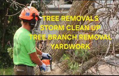 Tree Removal & Yardwork, View more