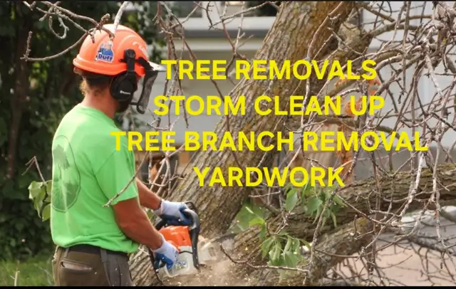Tree Removal & Yardwork in Patio & Garden Furniture in Oakville / Halton Region - Image 2
