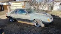 1981 Mustang hatchback      project