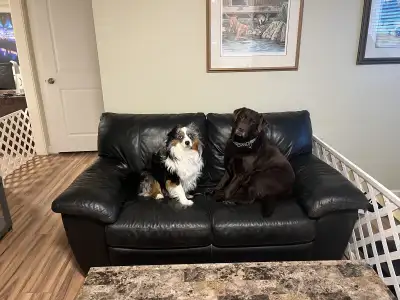 Black Couch, View more