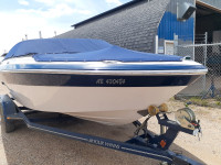 professional boat polishing