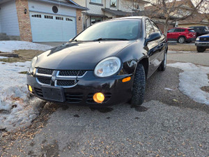 2004 Dodge SX 2.0