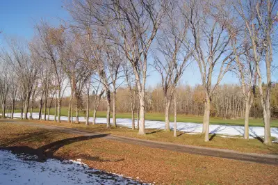 Bright 3-bedroom townhome backing onto the Broadmoor Golf Course with open views, quiet setting, and...