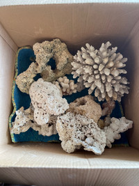 Salt Water coral. 10 lbs