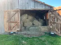 Second cut grass hay