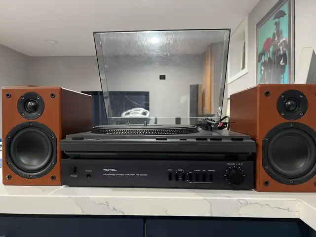 Turntable  Vector Research VT-240 in Stereo Systems & Home Theatre in Mississauga / Peel Region - Image 6