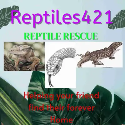 Reptile Rescue , View more