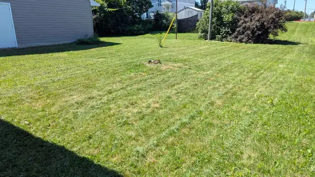 Ray's Lawn Mowing530755412684318727