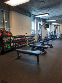 Space for Fitness Professionals and Coaches!