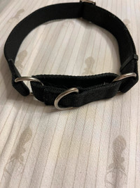 No Slip Adjustable Dog Collar Black