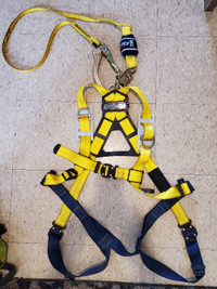 Safety Harness with Lanyard