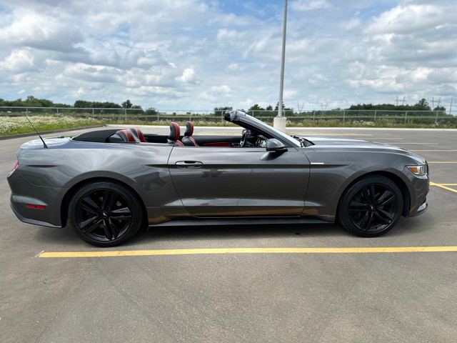 Ford Mustang Ecoboost Premium Convertible in Cars & Trucks in Ottawa - Image 4