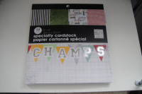 8" X 8" Specialty cardstock paper cartonne special, 40 sheets